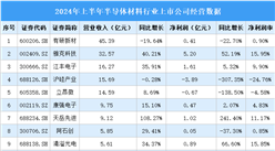 2024年上半年中国半导体材料行业上市公司业绩排行榜（附榜单）