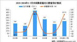 2024年1-7月中国集装箱出口数据统计分析：出口量同比增长119.8%