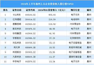 2024年上半年惠州市上市企业营业收入排行榜（附榜单）