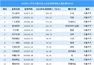 2024年上半年乌鲁木齐市上市企业营业收入排行榜（附榜单）