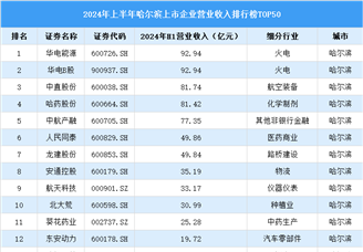 2024年上半年哈尔滨市上市企业营业收入排行榜（附榜单）