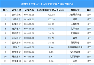 2024年上半年济宁市上市企业营业收入排行榜（附榜单）