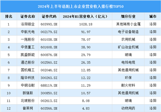 2024年上半年洛阳市上市企业营业收入排行榜（附榜单）