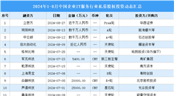 2024年1-8月中国企业IT服务行业私募股权投资盘点（附投融资事件汇总）