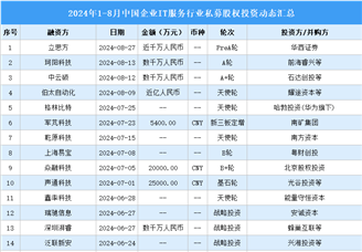 2024年1-8月中国企业IT服务行业私募股权投资盘点（附投融资事件汇总）