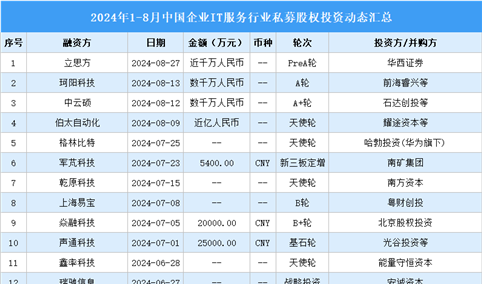 2024年1-8月中国企业IT服务行业私募股权投资盘点（附投融资事件汇总）