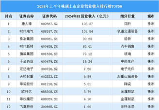 2024年上半年株洲市上市企业营业收入排行榜（附榜单）