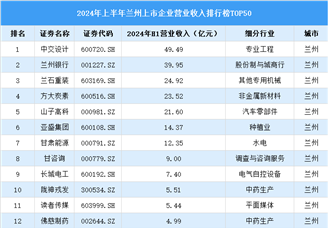 2024年上半年兰州市上市公司营业收入排行榜（附榜单）