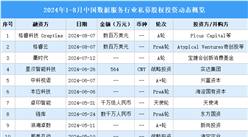 2024年1-8月中国数据服务行业私募股权投资盘点（附投融资事件汇总）