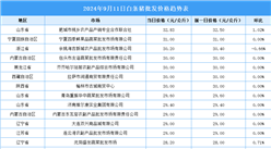 2024年9月12日全國各地最新白條豬價格行情走勢分析