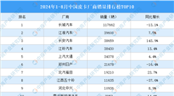 2024年1-8月中國(guó)皮卡廠商銷量排行榜TOP10（附榜單）