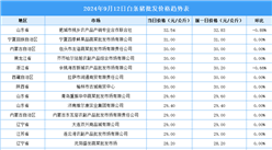 2024年9月13日全國各地最新白條豬價格行情走勢分析