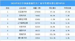 2024年8月中國(guó)新能源汽車廠商零售銷量排行榜TOP10（附榜單）