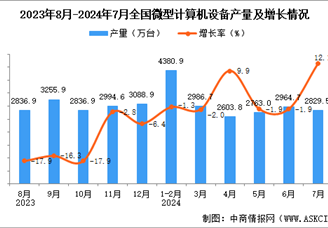 2024年7月全国微型计算机设备产量数据统计分析