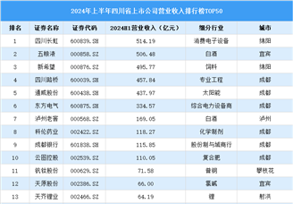 2024年上半年四川省上市公司营业收入排行榜（附榜单）