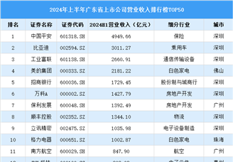 2024年上半年广东省上市公司营业收入排行榜（附榜单）