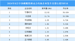 2024年8月中國磷酸鐵鋰動力電池企業裝車量排行榜TOP10（附榜單）