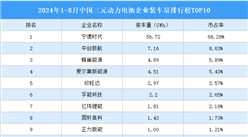 2024年1-8月中国三元动力电池企业装车量排行榜TOP10（附榜单）