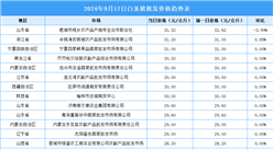 2024年9月18日全國各地最新白條豬價格行情走勢分析