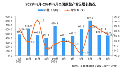 2024年8月全國原鹽產量數據統計分析