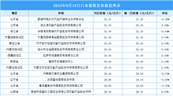 2024年9月19日全国各地最新白条猪价格行情走势分析