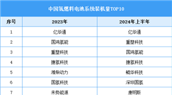 2024年中國氫燃料電池市場規(guī)模預(yù)測及廠商裝機量排名分析（圖）