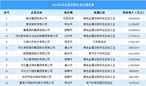 2024年河北省民营企业百强名单（附榜单）