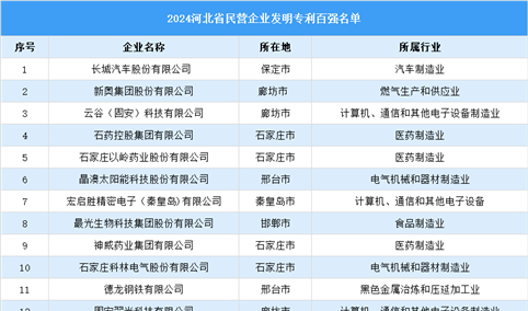 2024年河北省民营企业发明专利百强名单（附榜单）