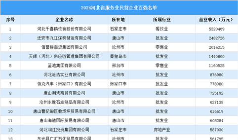 2024年河北省服务业民营百强名单（附榜单）