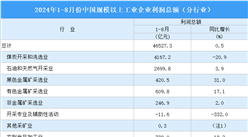 2024年1-8月全國規(guī)上工業(yè)企業(yè)利潤(rùn)總額情況：制造業(yè)利潤(rùn)總額同比增長(zhǎng)1.1%（圖）