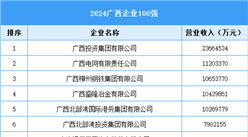 2024廣西企業(yè)100強(qiáng)（附榜單）