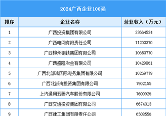 2024广西企业100强（附榜单）