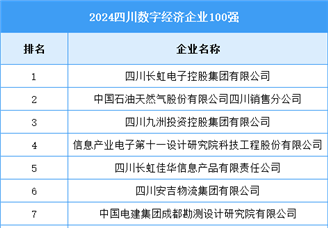 2024四川数字经济企业100强（附榜单）