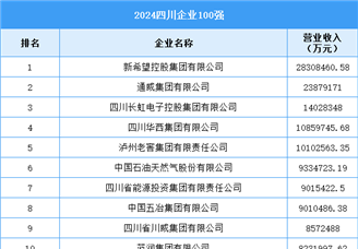 2024四川企业100强（附榜单）