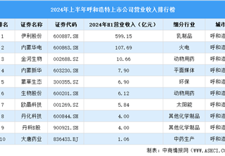 2024年上半年呼和浩特市上市公司营业收入排行榜（附榜单）