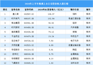 2024年上半年株洲市上市公司营业收入排行榜（附榜单）