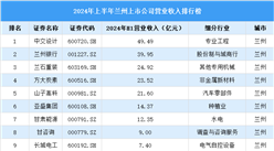 2024年上半年蘭州市上市公司營業(yè)收入排行榜（附榜單）