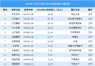 2024年上半年兰州市上市公司营业收入排行榜（附榜单）