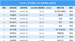 2024年上半年貴陽市上市公司營業(yè)收入排行榜（附榜單）