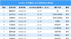 2024年上半年滁州市上市公司營業(yè)收入排行榜（附榜單）