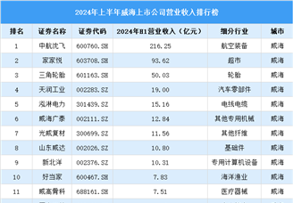 2024年上半年威海市上市公司营业收入排行榜（附榜单）