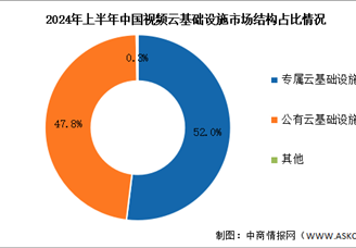 2024年上半年中国视频云基础设施市场规模及市场结构分析（图）