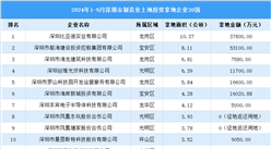 【產業(yè)投資重點】2024年1-9月深圳市制造業(yè)土地投資位列前30的企業(yè)匯總分析