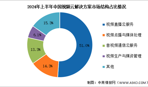 2024年上半年中国视频云解决方案市场规模及市场结构分析（图）