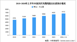 2024年中國光纖光纜市場現(xiàn)狀及發(fā)展前景預測分析（圖）