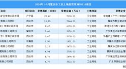 2024年1-9月肇庆市十大工业土地投资项目拿地面积逾80公顷（图）