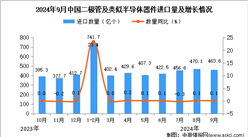 2024年9月中国二极管及类似半导体器件进口数据统计分析：进口量同比增长0.1%