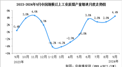 2024年9月中国能源生产情况：规模以上工业原煤等平稳增长