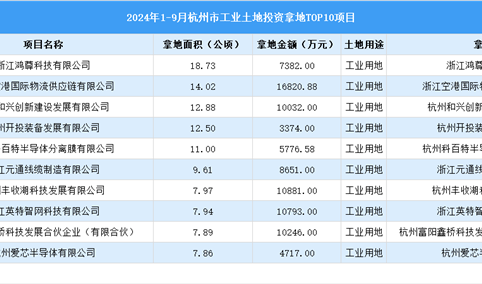 2024年1-9月杭州市十大工业土地投资项目，拿地面积超100公顷（图）