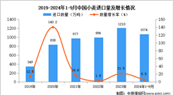 2024年1-9月中國小麥進(jìn)口數(shù)據(jù)統(tǒng)計(jì)分析：進(jìn)口量同比增長5.5%